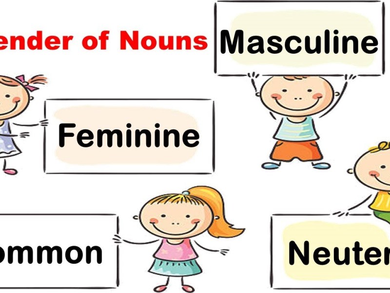 Grammar Unit 1.2: Nouns – Gender of&nbsp;Nouns