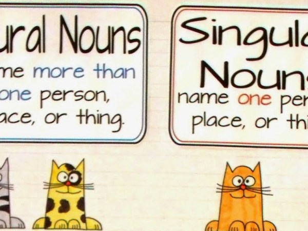 Grammar Unit 1.3: Nouns – Singular and Plural&nbsp;Nouns